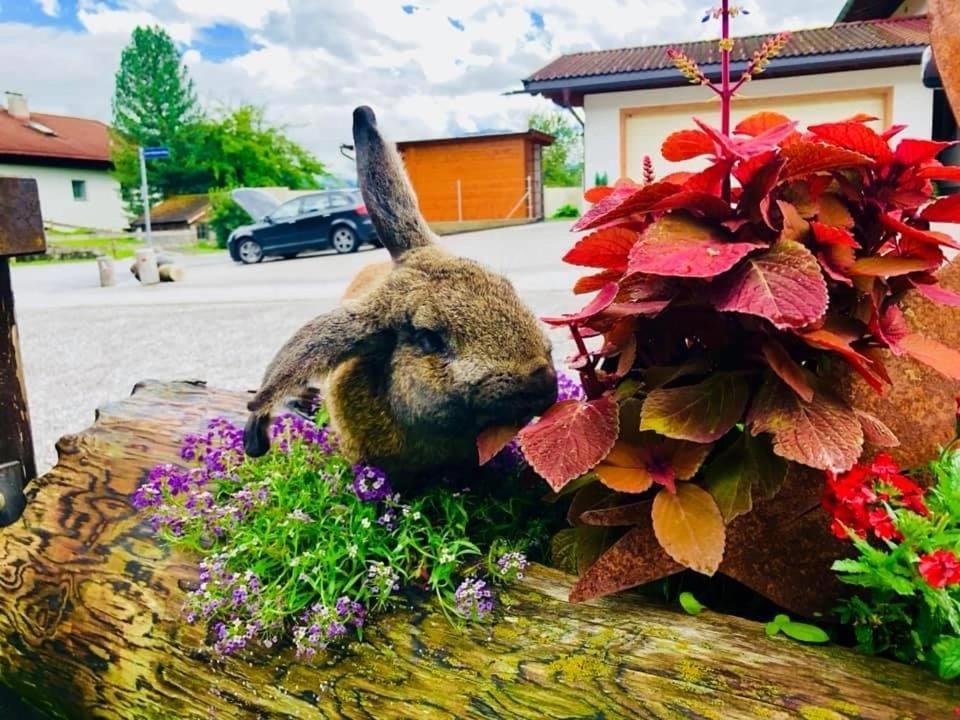 Restaurant Gaestehaus Wiesenheim 유던스 외부 사진